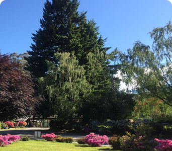 Parque de Valdivia
